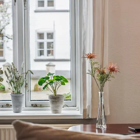 Apartment Cozy In
